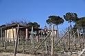 VBS_0989 - Santuario Madonna di Mombirone - Canale (CN)